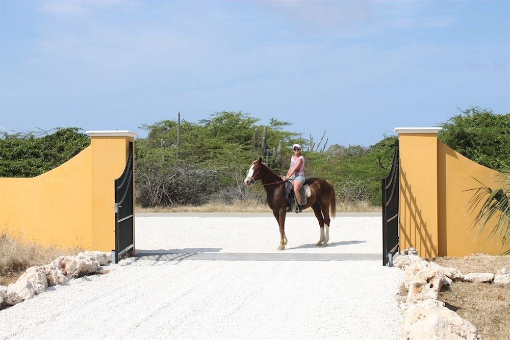Wanapa Lodge Bonaire Extérieur photo